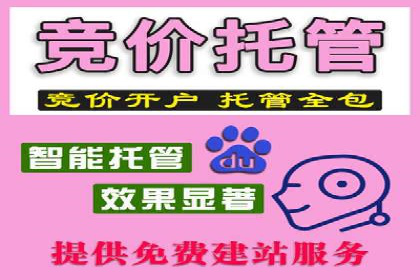 竞价排名案例：精准定位目标客户